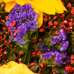 Blumenstrauß Sommerlichter mit Vase & Ferrero Giotto 3er